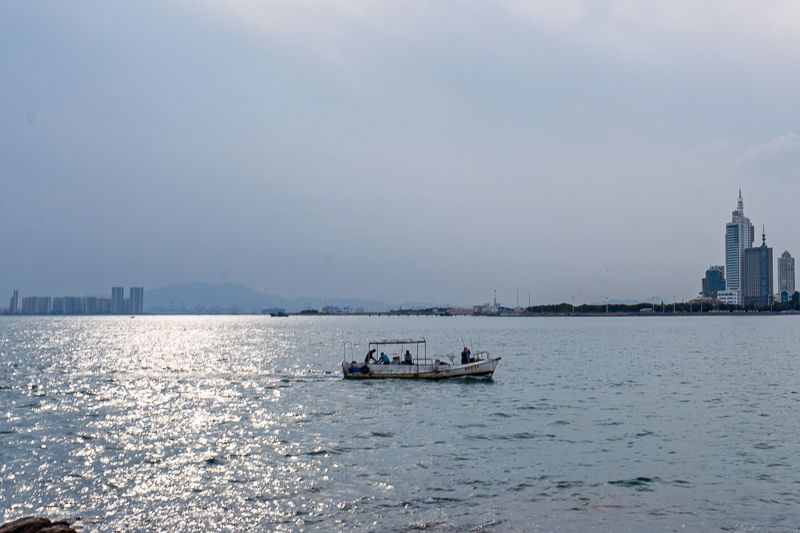 蓬莱阁周边海产清蒸白灼与蒜蓉扇贝实拍